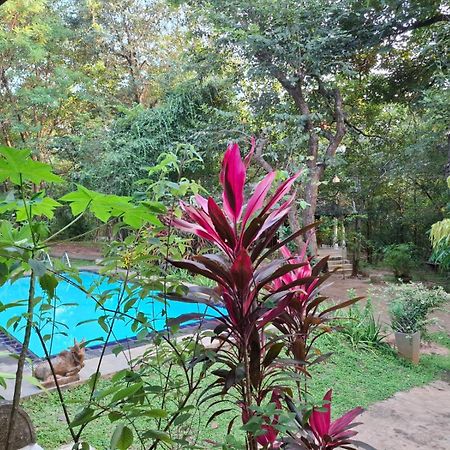 Villa Habarana Bagian luar foto