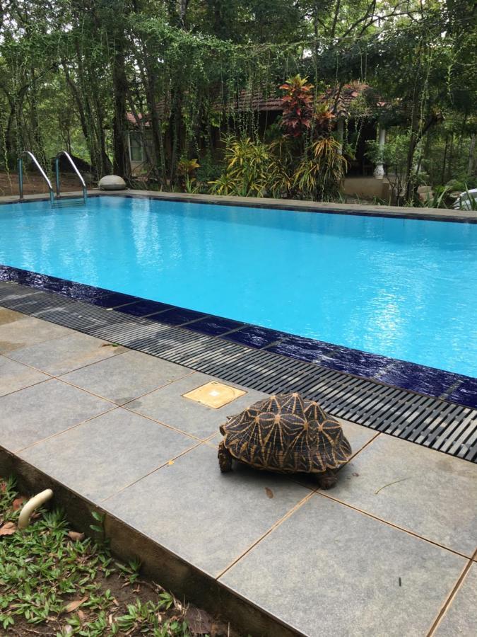Villa Habarana Bagian luar foto