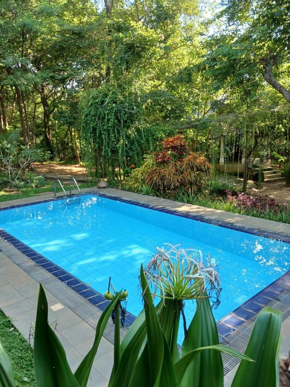 Villa Habarana Bagian luar foto