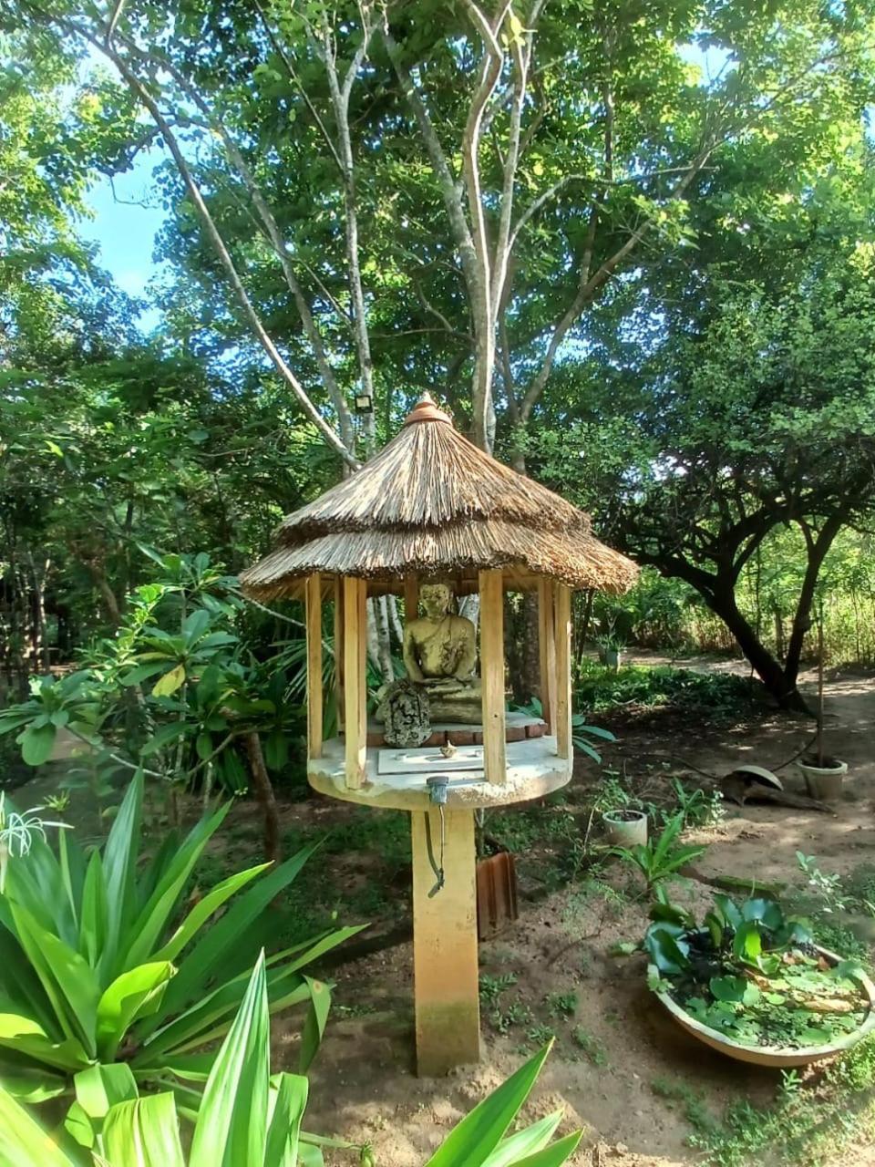 Villa Habarana Bagian luar foto