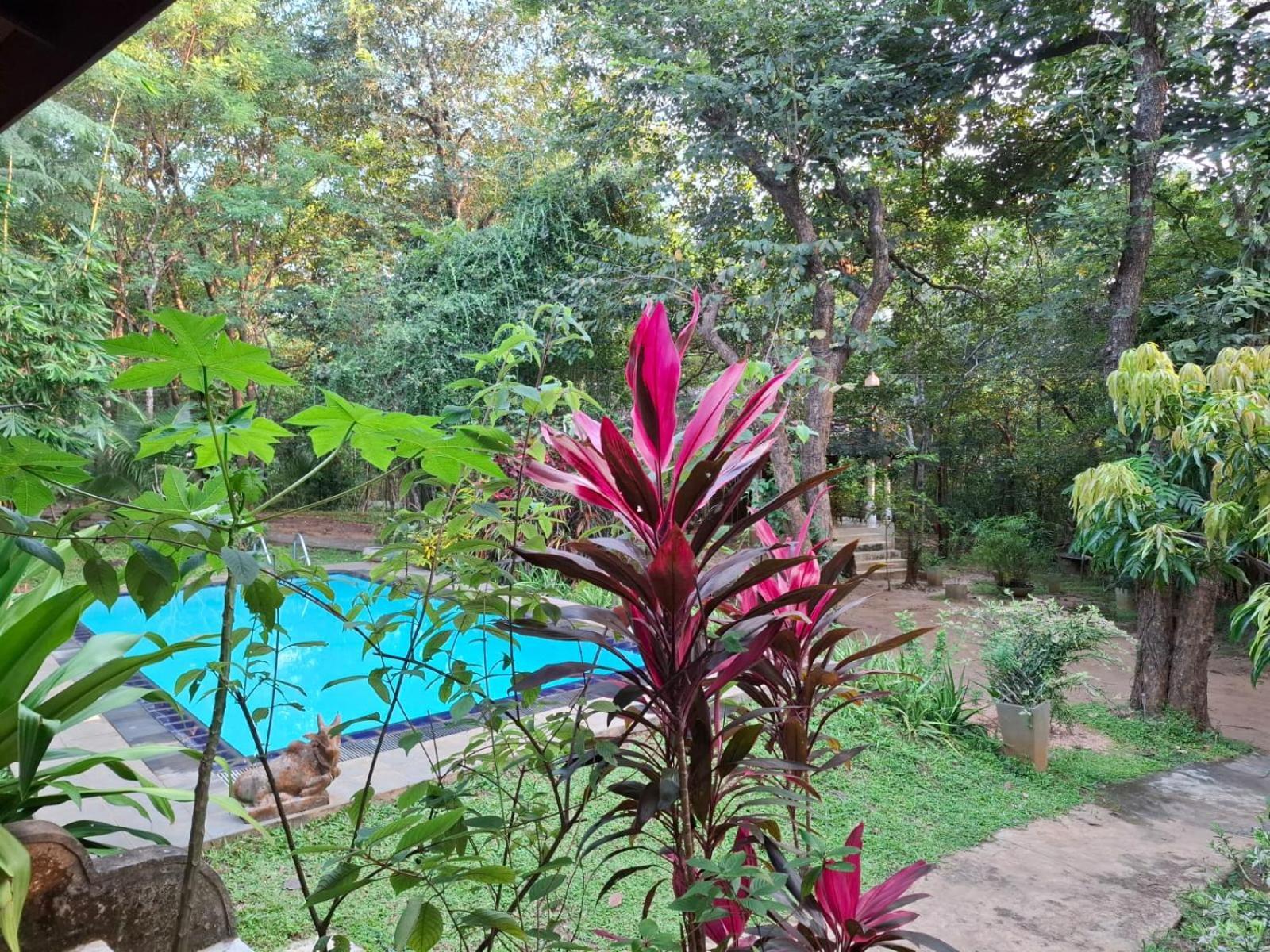 Villa Habarana Bagian luar foto