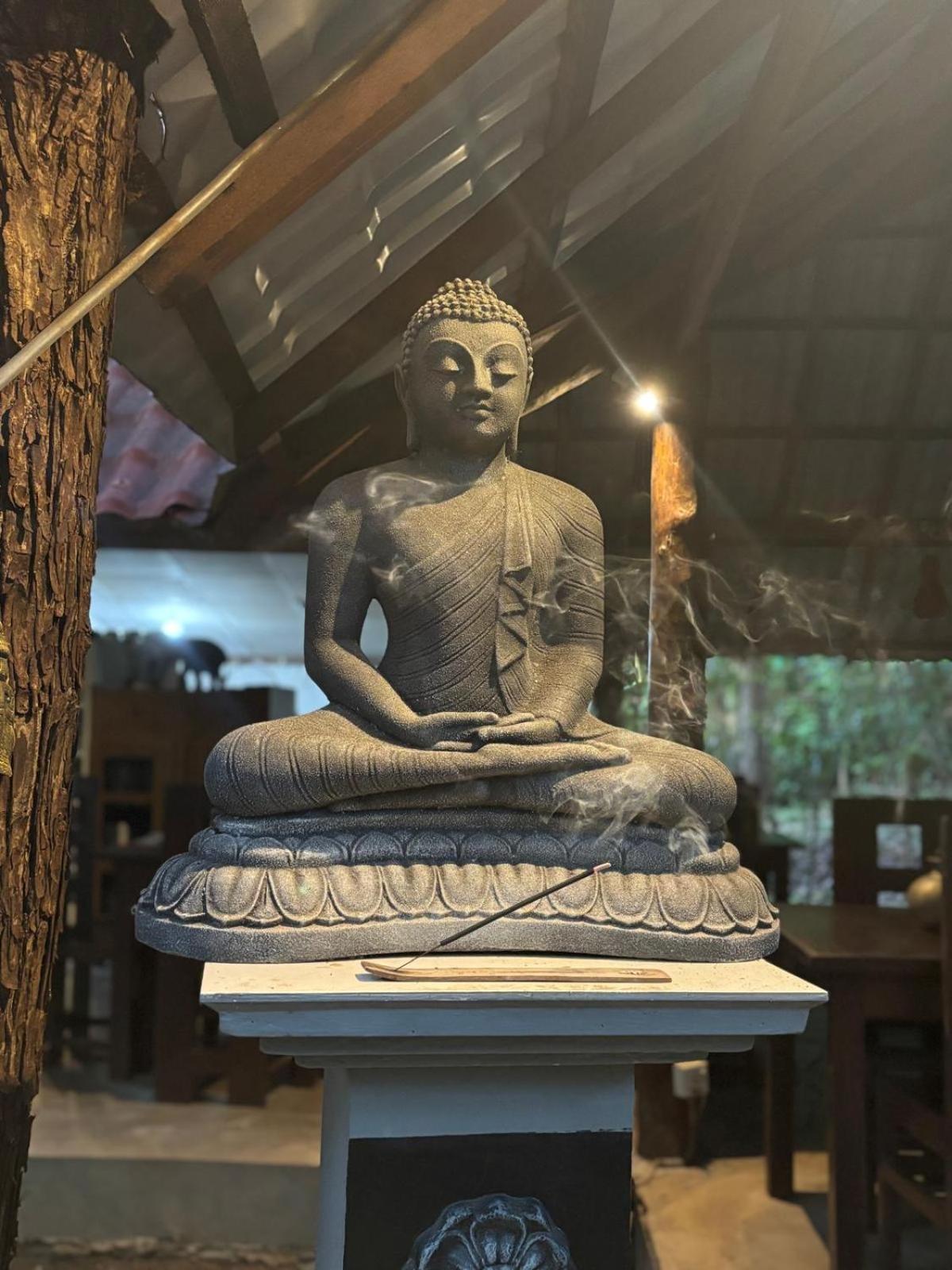 Villa Habarana Bagian luar foto