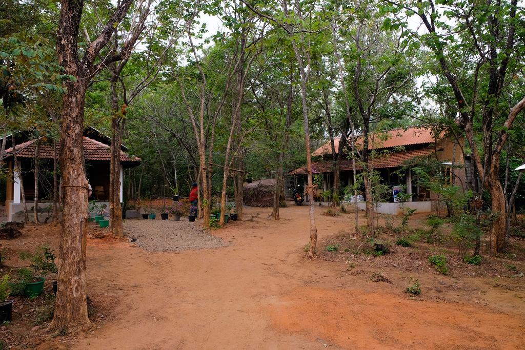 Villa Habarana Bagian luar foto