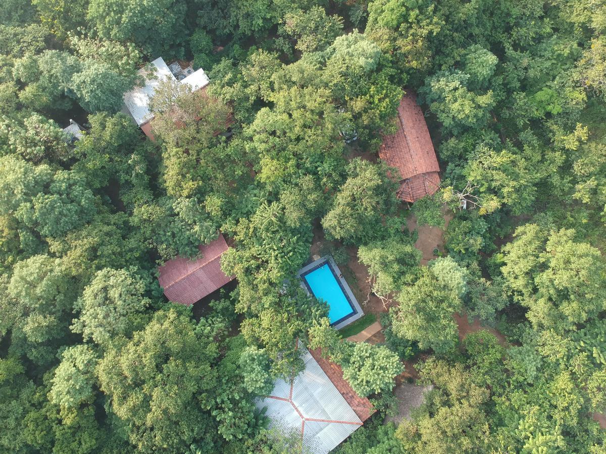 Villa Habarana Bagian luar foto